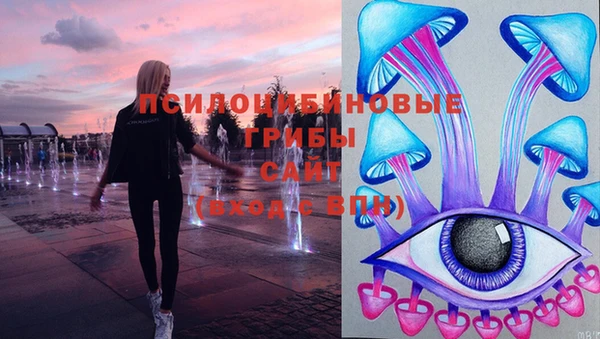молекула духа Баксан