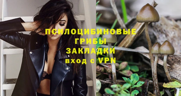 молекула духа Баксан